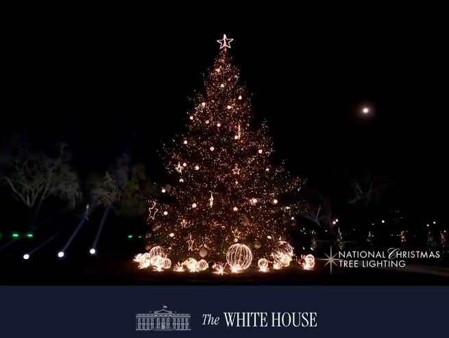 Дональд і Меланія Трамп взяли участь у відкритті різдвяної ялинки у Вашингтоні